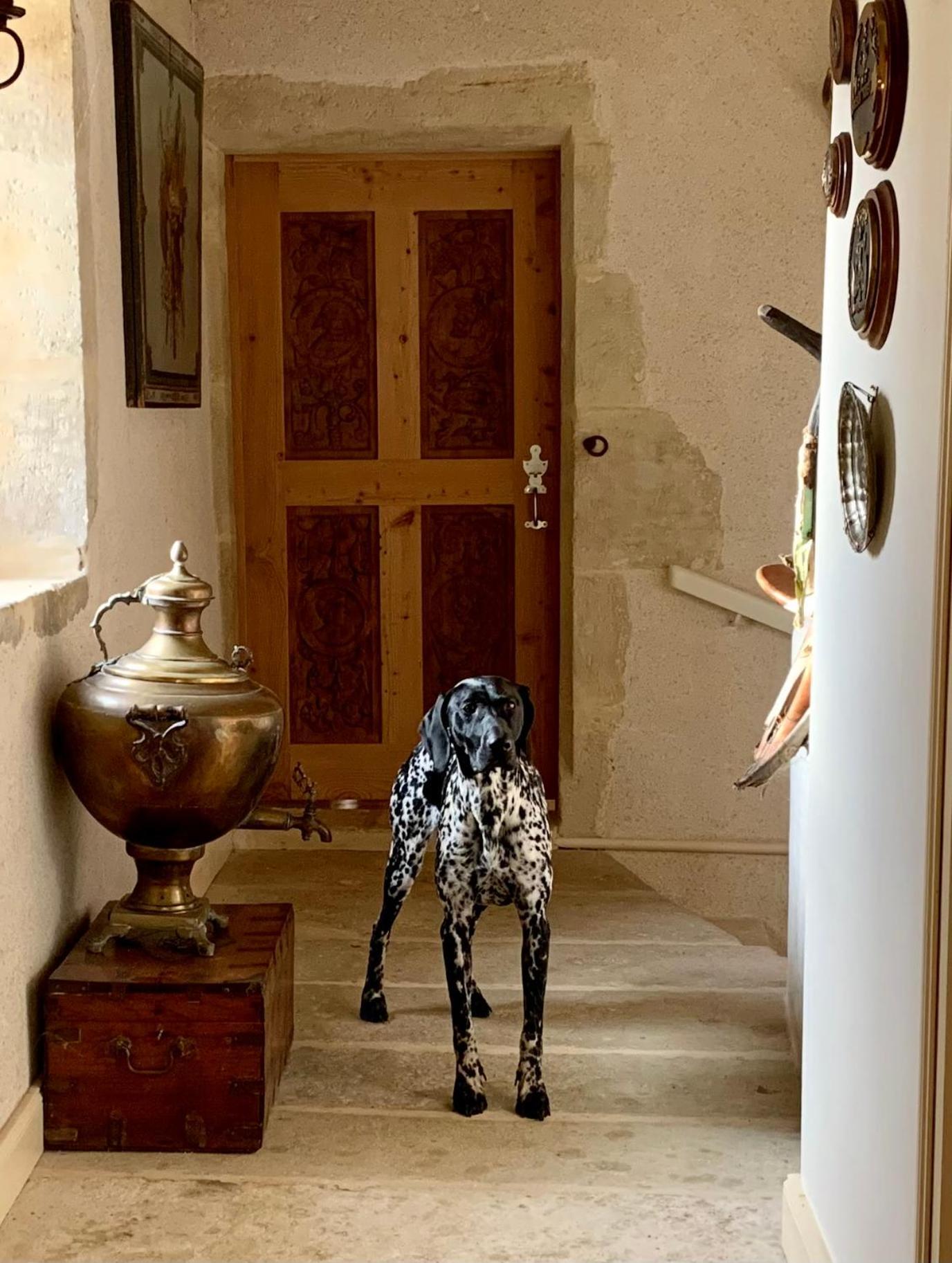 Logis De La Touche Bed & Breakfast Saint-Hilaire-des-Loges Exterior foto